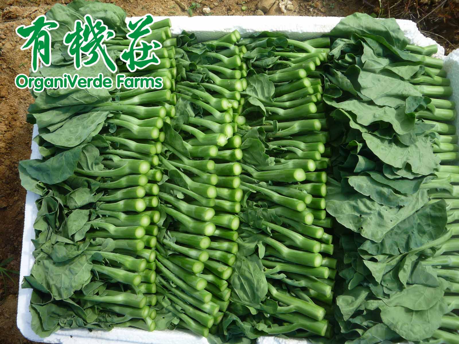 關於有機的迷思