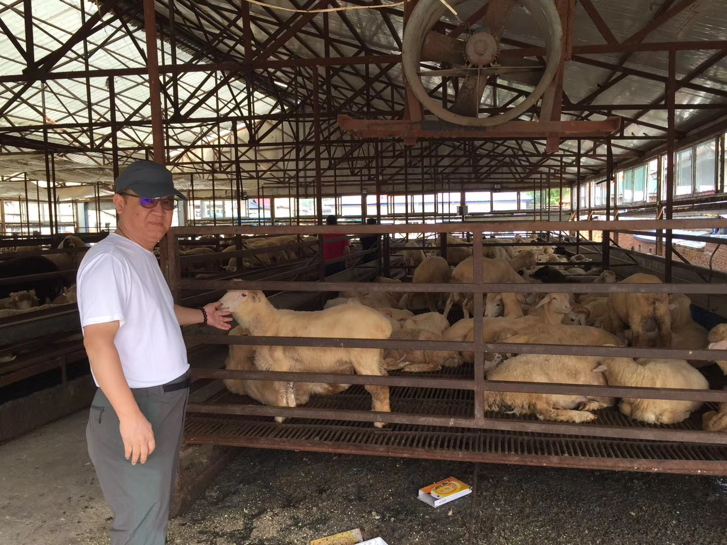 畜牧養殖的新篇章