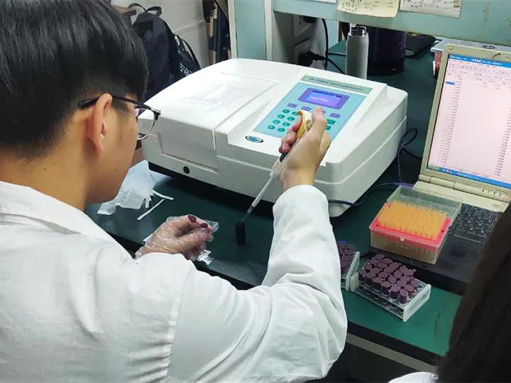 灣區農訊|茶枝柑果肉微生物發酵綜合利用技術