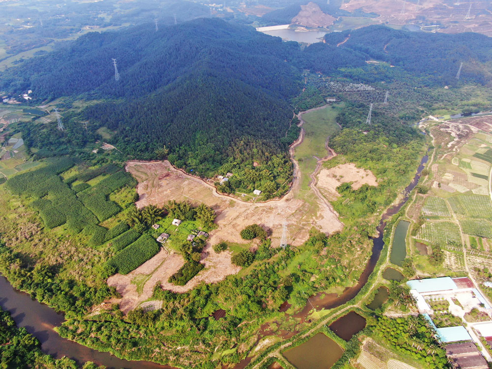 病蟲害與微生物防治法
