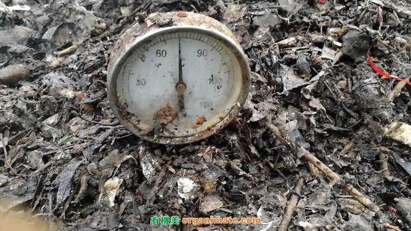 Bio1One 生物處理垃圾專用微生物菌劑的應用