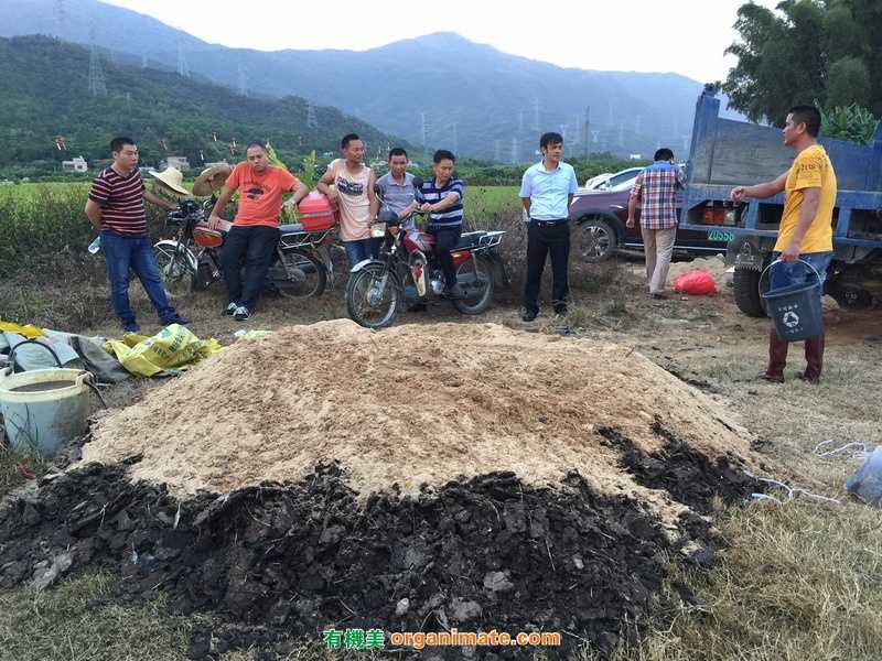 廣東惠東白雲村組織村民使用亞聯微生物肥進行堆肥