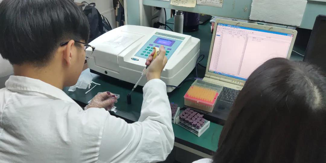 化學成分分析 拷貝.jpg