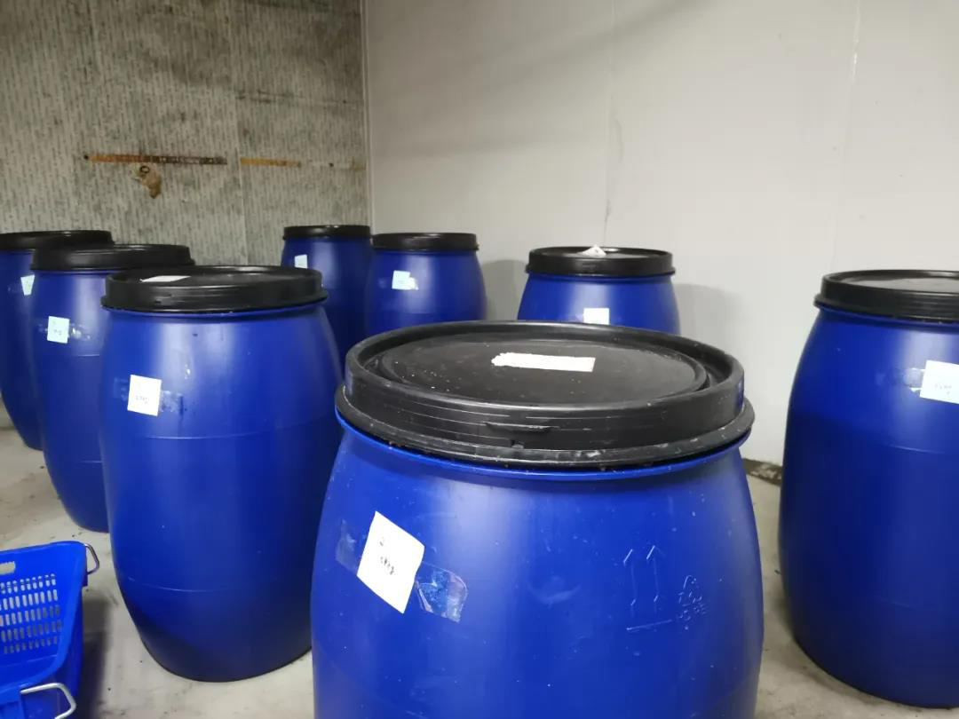 中試生産（厭氧菌發酵） 拷貝.jpg